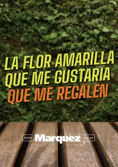 Vista previa del folleto de la tienda Grupo Marquez válido desde el 01/10/2026 