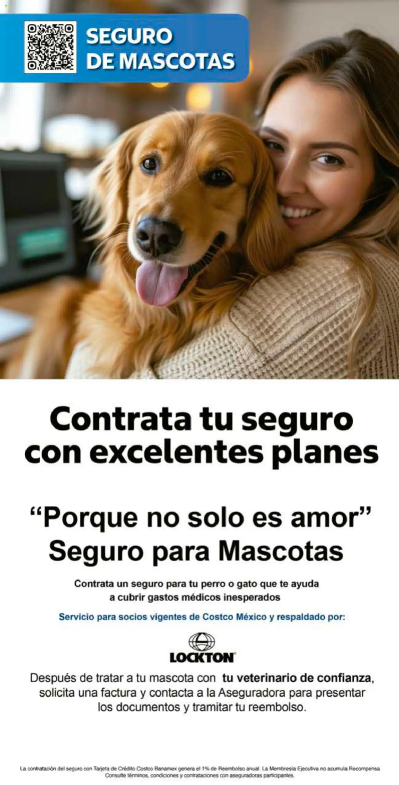 Vista previa las ofertas de la tienda Costco - Costco catálogo desde el 21/09/2026 - Té