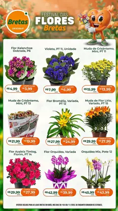 Pré-Visualização do folheto "Bretas ofertas Flores" da loja Bretas válido a partir de 30/10/2026