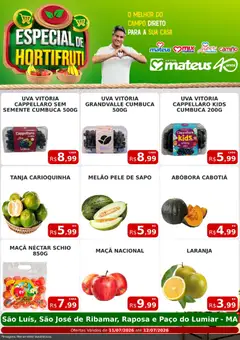 Pré-Visualização do folheto "Mateus ofertas Especial do Horti" da loja Mateus válido a partir de 11/07/2026