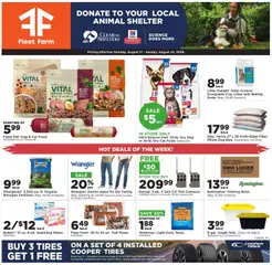 Ad Preview of Mills Fleet Farm Mills Fleet Farm Weekly Ad from 08/17/2026