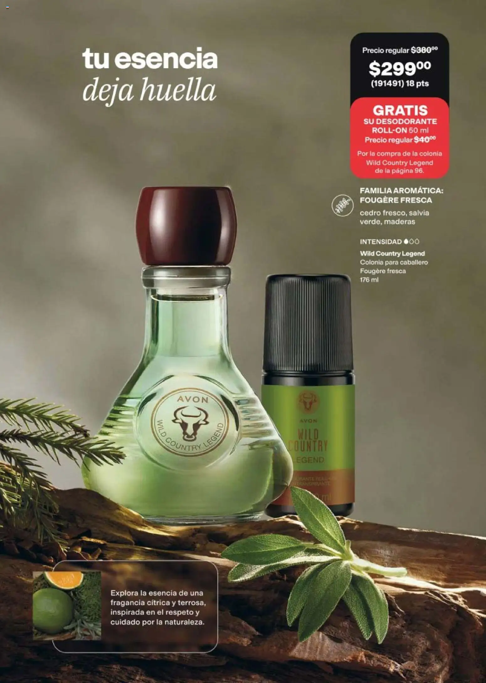 Vista previa las ofertas de la tienda AVON - AVON campaña 13 2026 desde el 21/08/2026 
