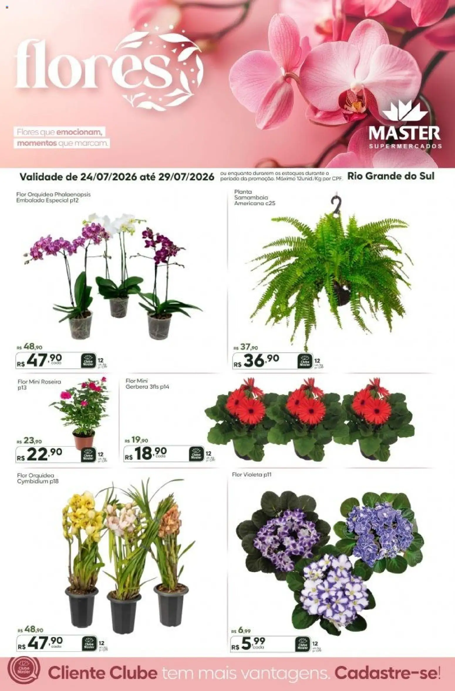 Pré-Visualização do folheto "Master ofertas Flores" da loja Master válido a partir de 24/07/2026 - Flores, Orquídea, Gerbera
