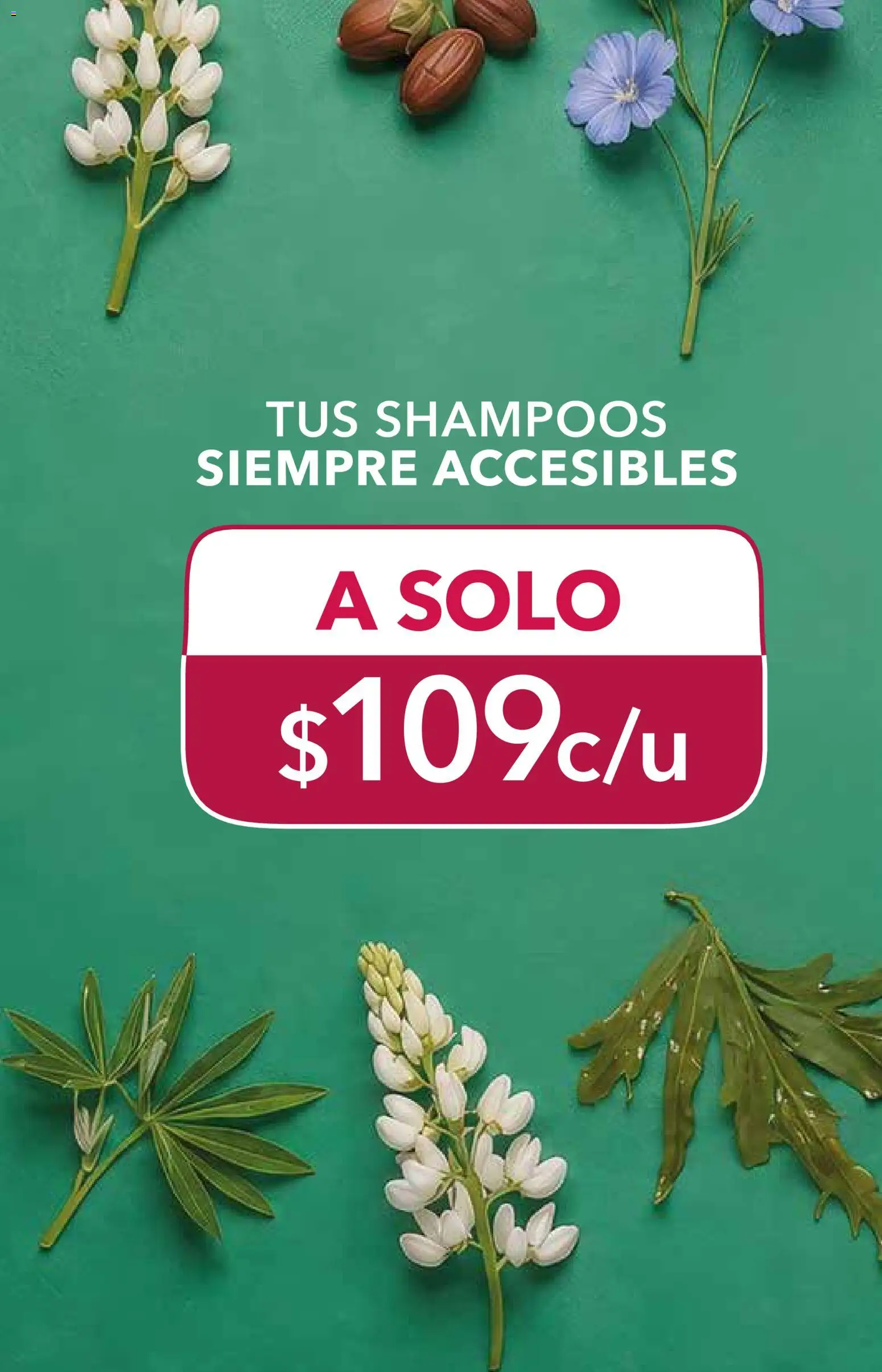 Vista previa las ofertas de la tienda Yves Rocher - Yves Rocher campaña 14 2026 desde el 06/10/2026 