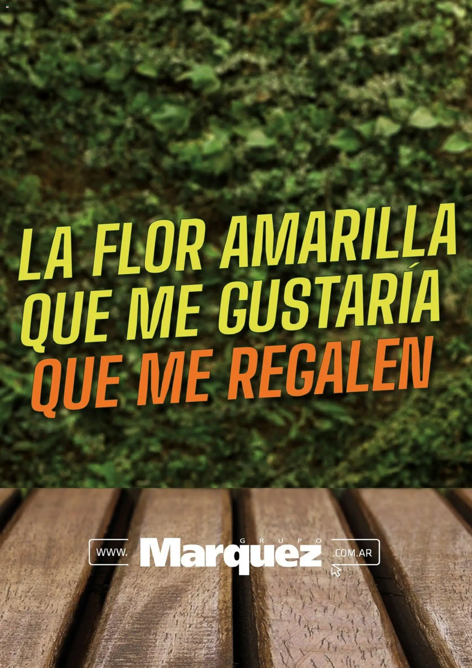 Vista previa del folleto de la tienda Grupo Marquez válido desde el 01/10/2026 