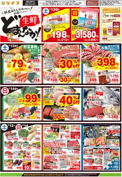 ライフの2026/06/13から2026/06/15までのチラシはここライフ - チラシ