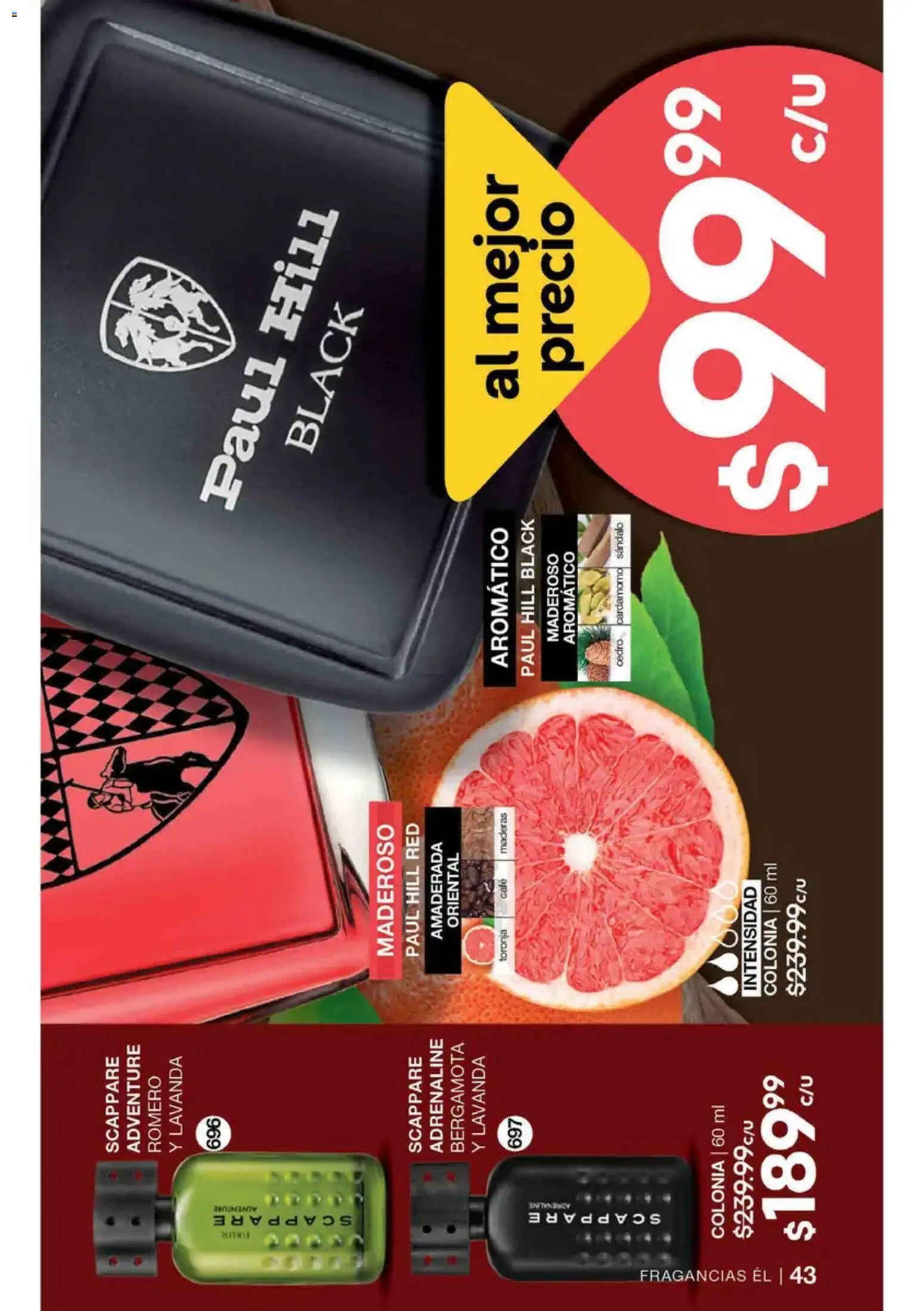Vista previa las ofertas de la tienda Fuller - Fuller campaña 10 2026 desde el 19/08/2026 