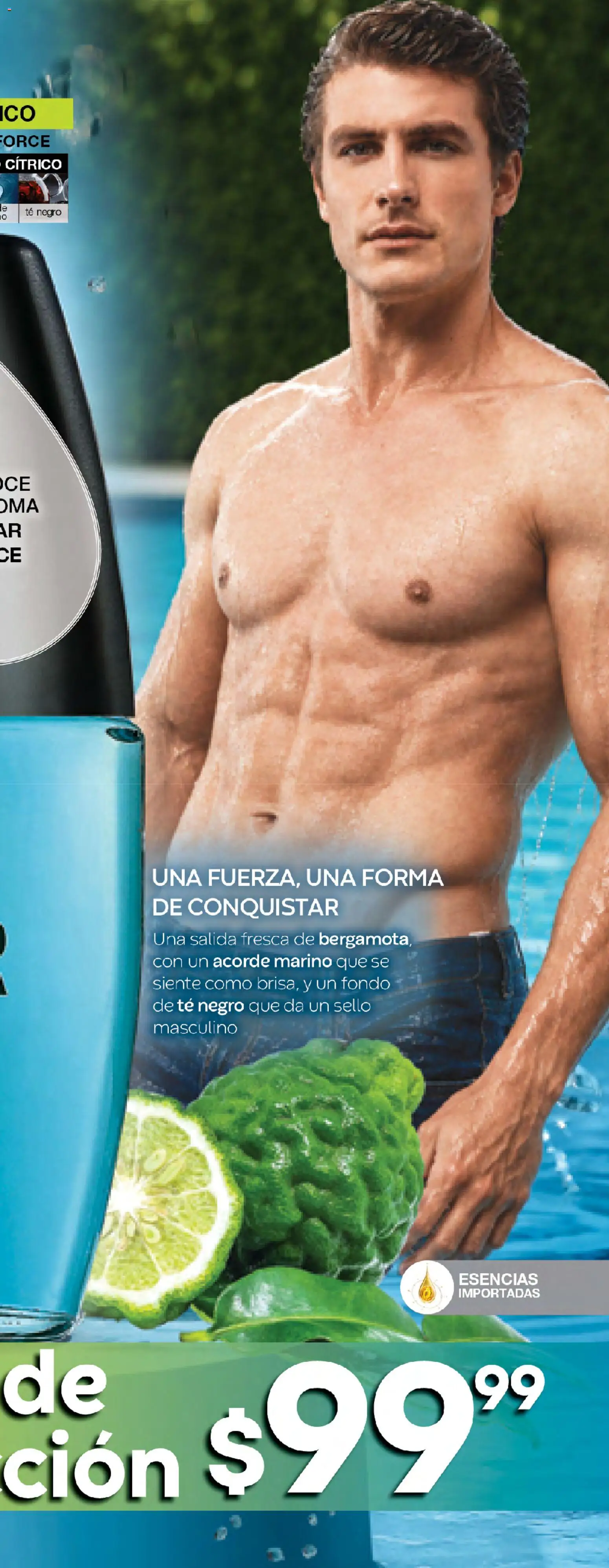 Vista previa las ofertas de la tienda Fuller - Fuller campaña 9 2026 desde el 05/08/2026 