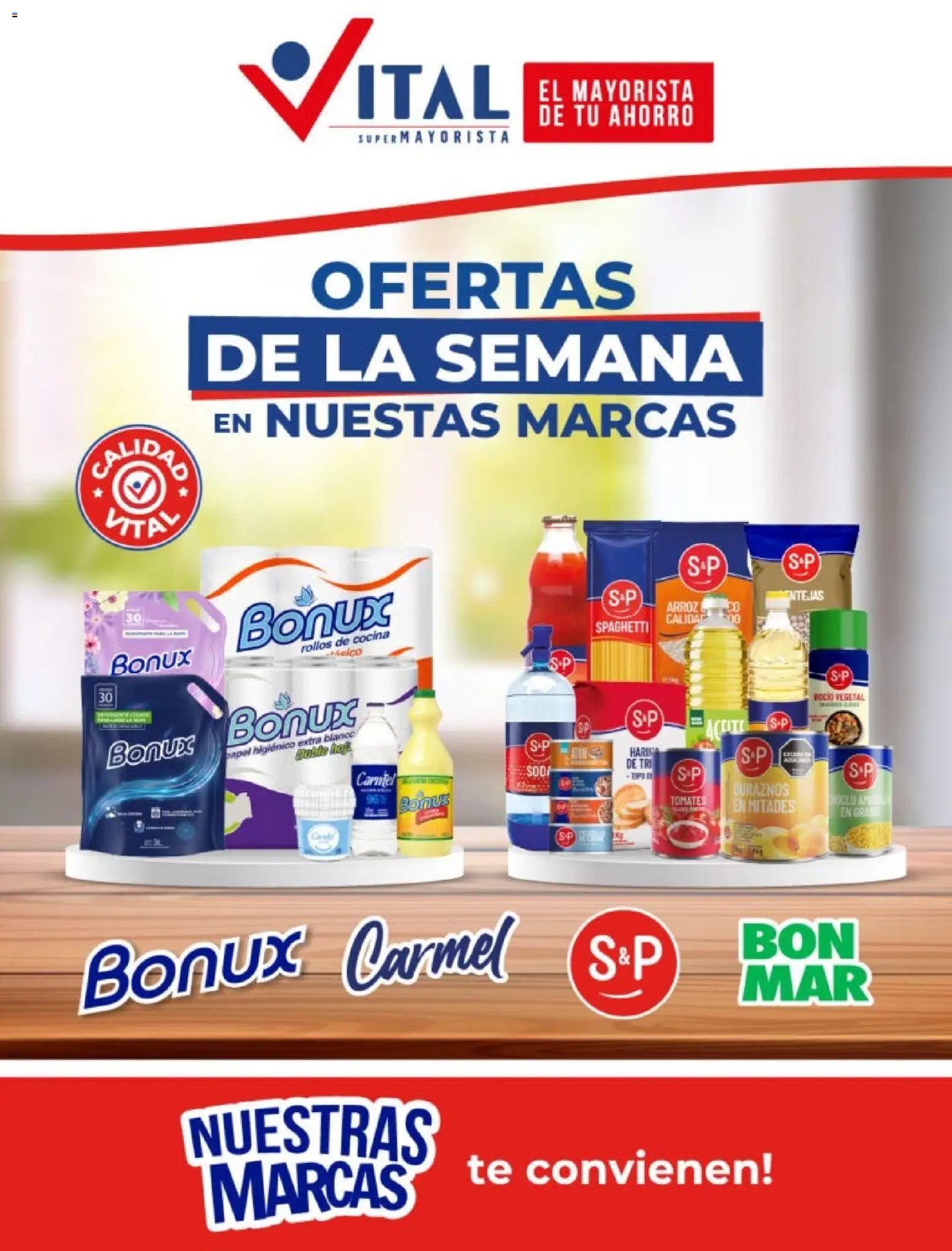 Vista previa del folleto de la tienda Vital válido desde el 26/10/2026 