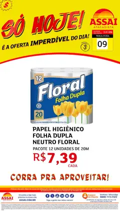 Pré-Visualização do folheto "Assaí Atacadista ofertas - DF" da loja Assaí Atacadista válido a partir de 09/06/2026