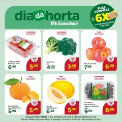 Pré-Visualização do folheto "Supermercado Guanabara - Ofertas da semana" da loja Supermercado Guanabara válido a partir de 18/08/2026