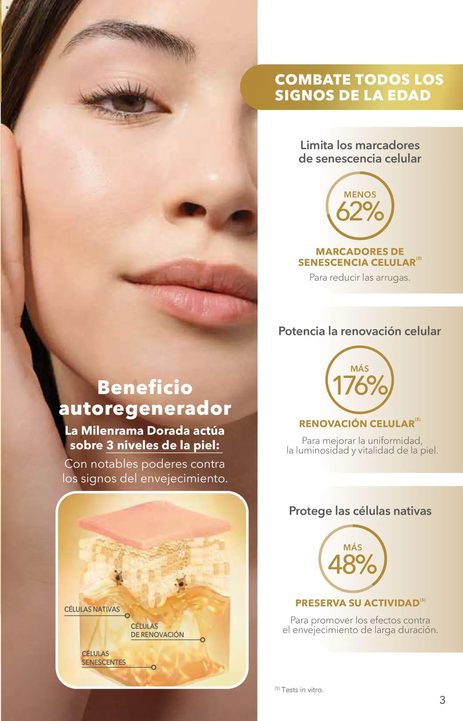 Vista previa las ofertas de la tienda Yves Rocher - Yves Rocher campaña 12 2026 desde el 25/08/2026 