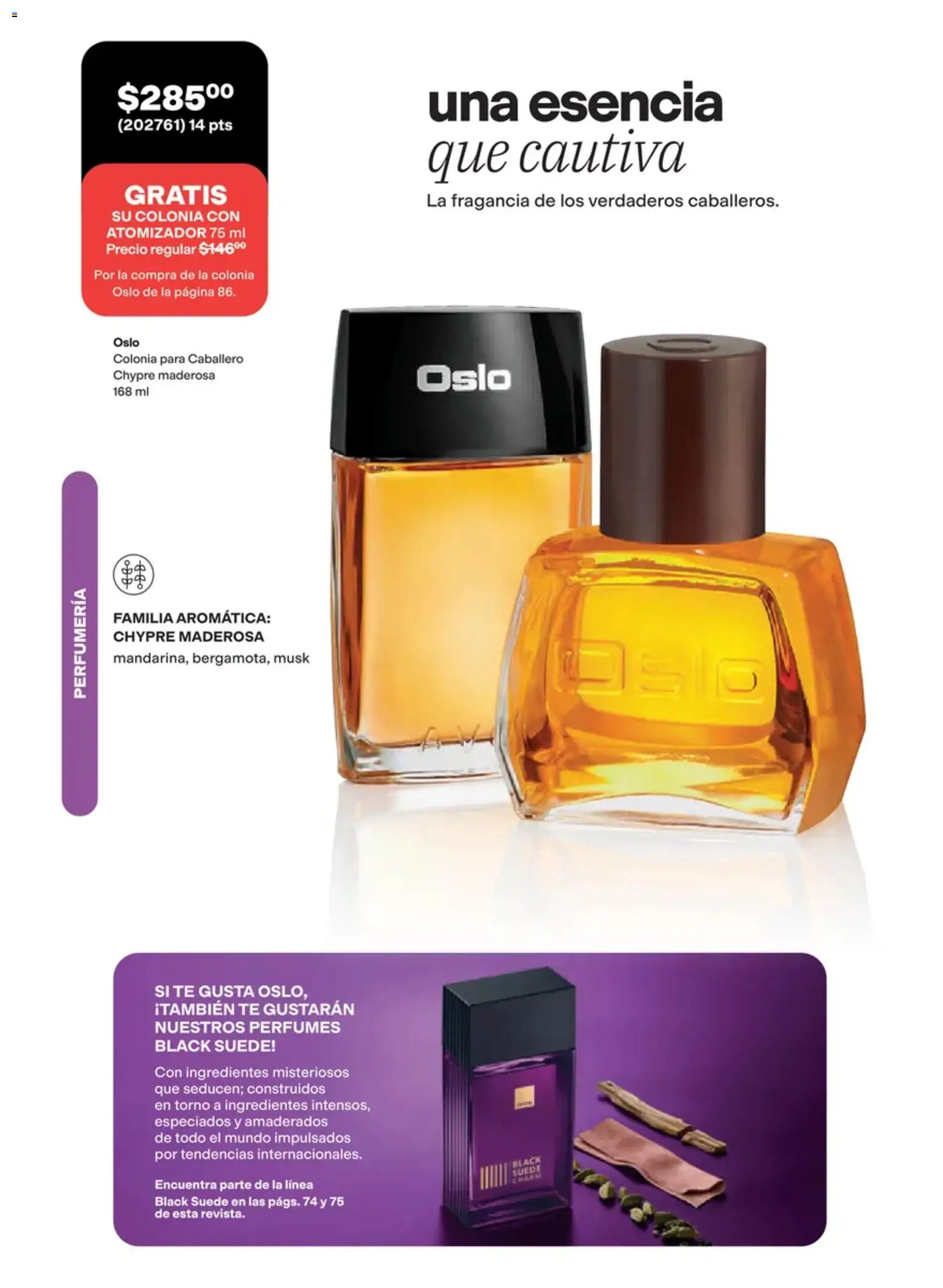 Vista previa las ofertas de la tienda AVON - AVON campaña 15 2026 desde el 02/10/2026 