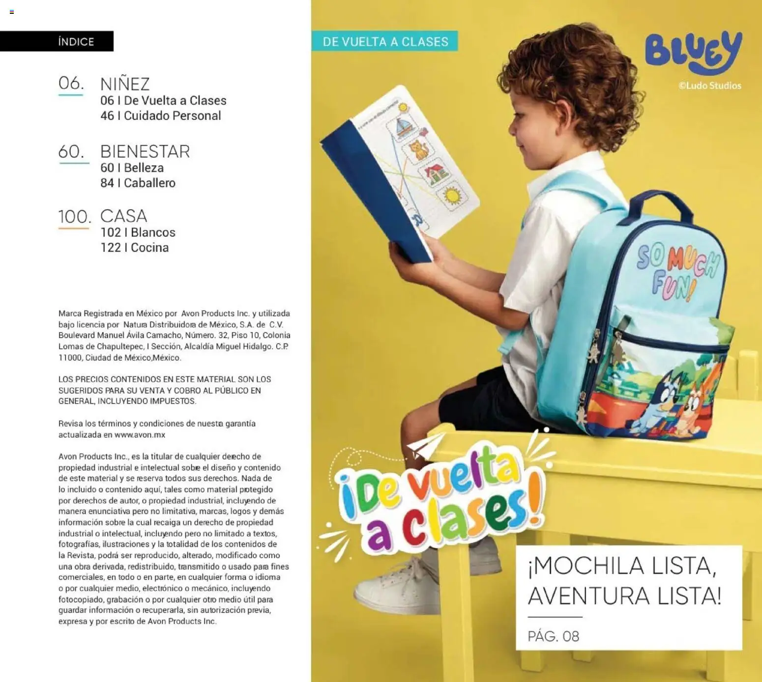 Vista previa las ofertas de la tienda AVON - AVON Casa & Estilo 11 2026 desde el 10/07/2026 