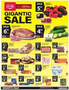 Preview of leaflet Co-op Food weekly flyer / circulaire from shop Co-op Food is valid from Aug 20, 2026