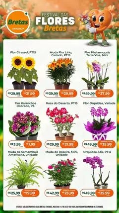 Pré-Visualização do folheto "Bretas ofertas Flores" da loja Bretas válido a partir de 11/09/2026