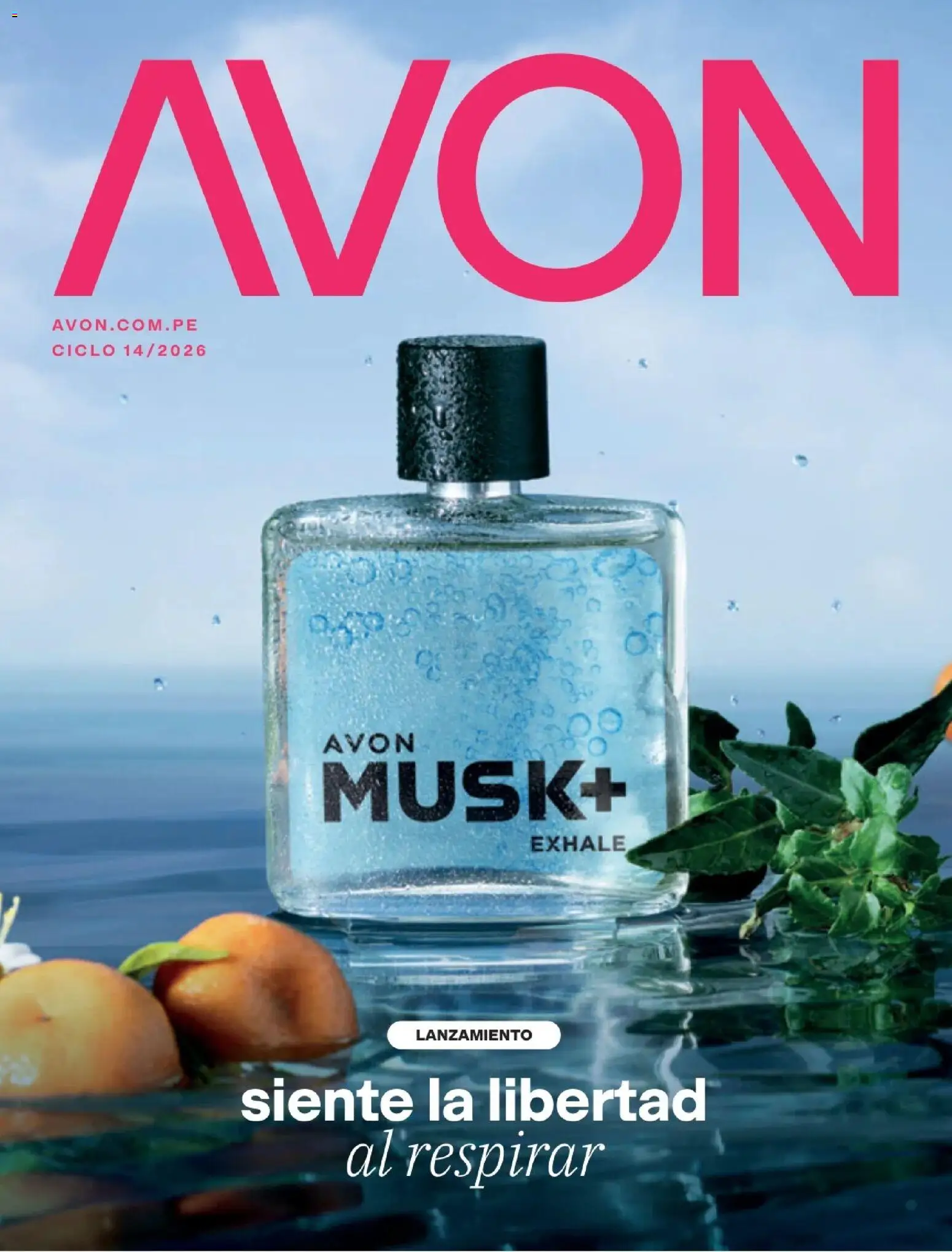 Vista previa de Avon catálogo - Campaña 14 de la tienda Avon válido desde 29/08/2026