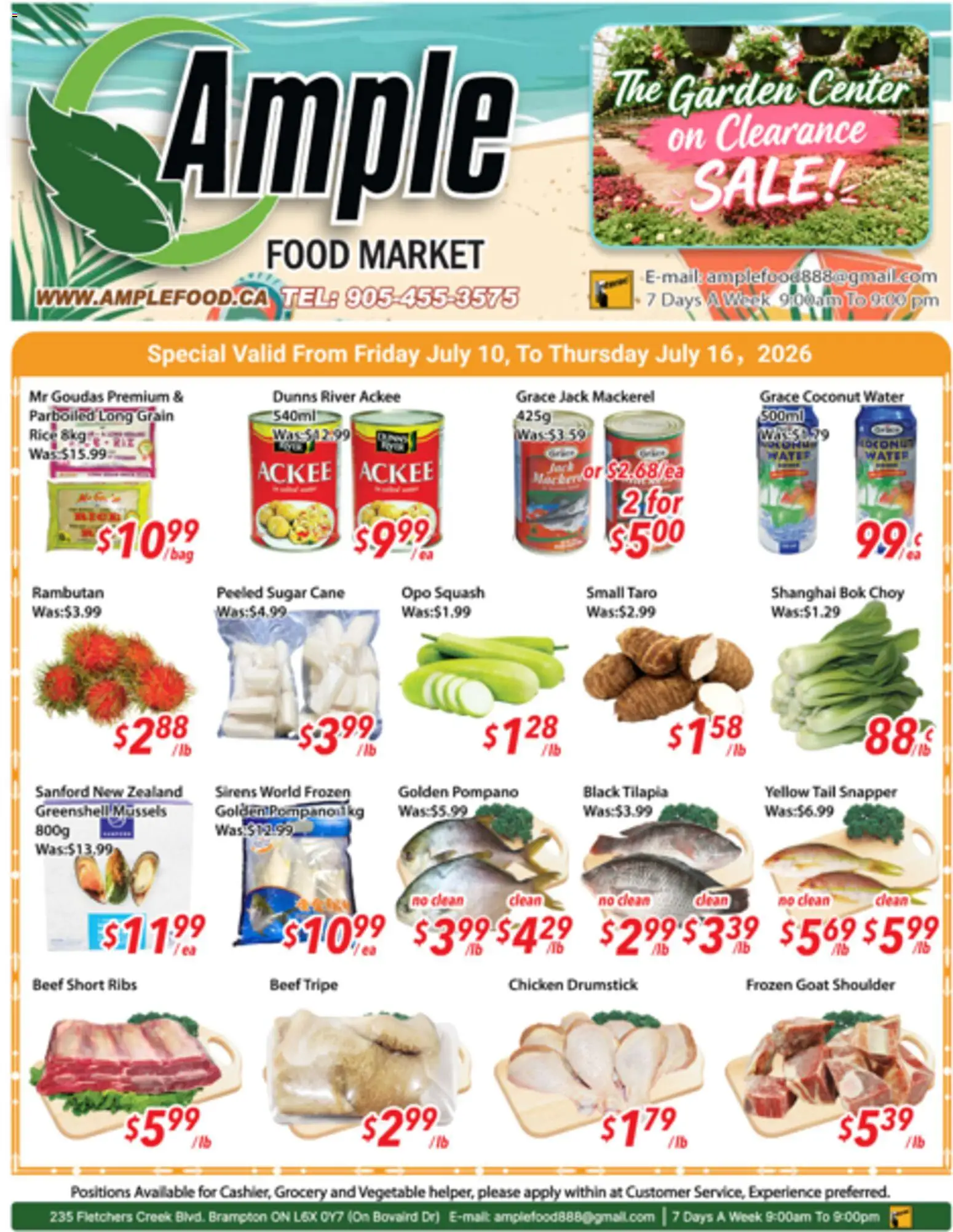 Preview of leaflet Ample Food Market weekly flyer / circulaire from shop Ample Food Market is valid from Jul 10, 2026 - Food, Chicken, Water, Rice, Coconut, Tripe, Sugar, Beef tripe