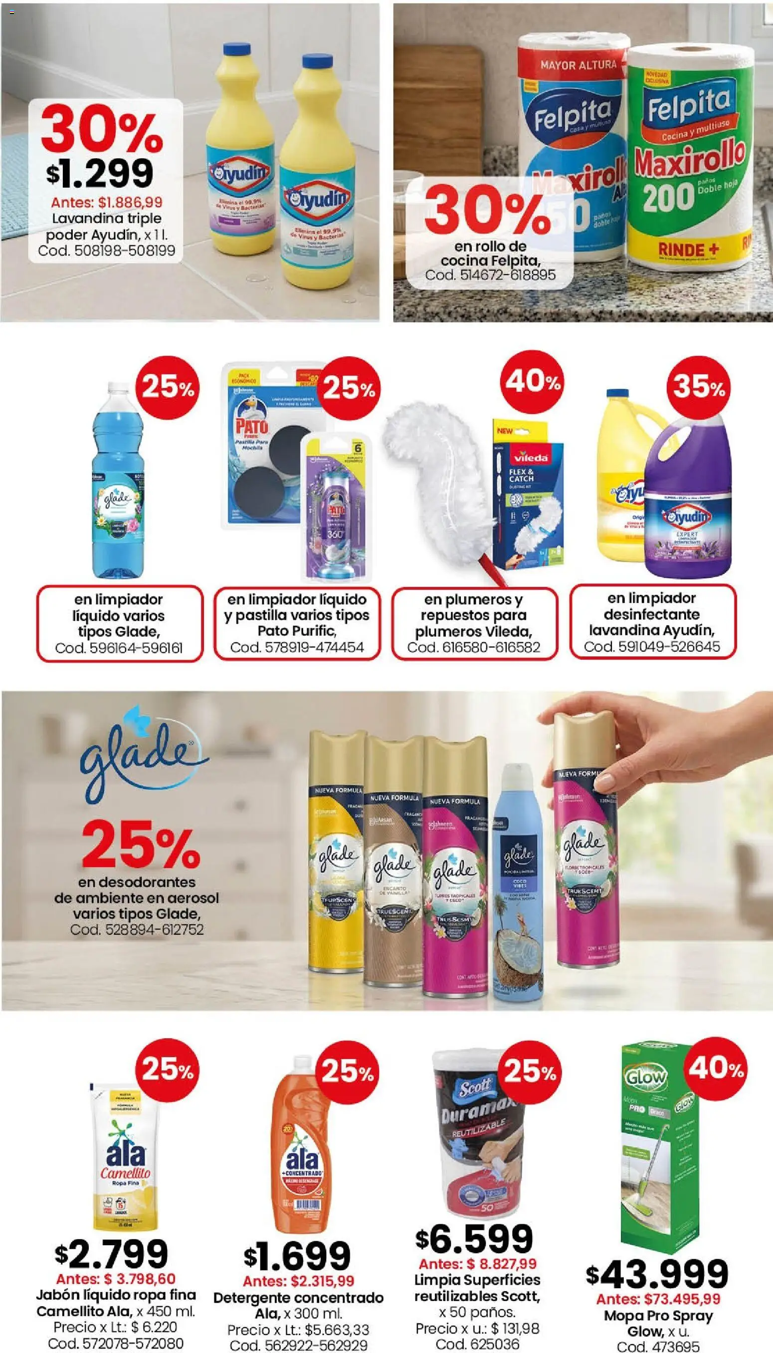 Vista previa del folleto de la tienda Coto válido desde el 21/09/2026 