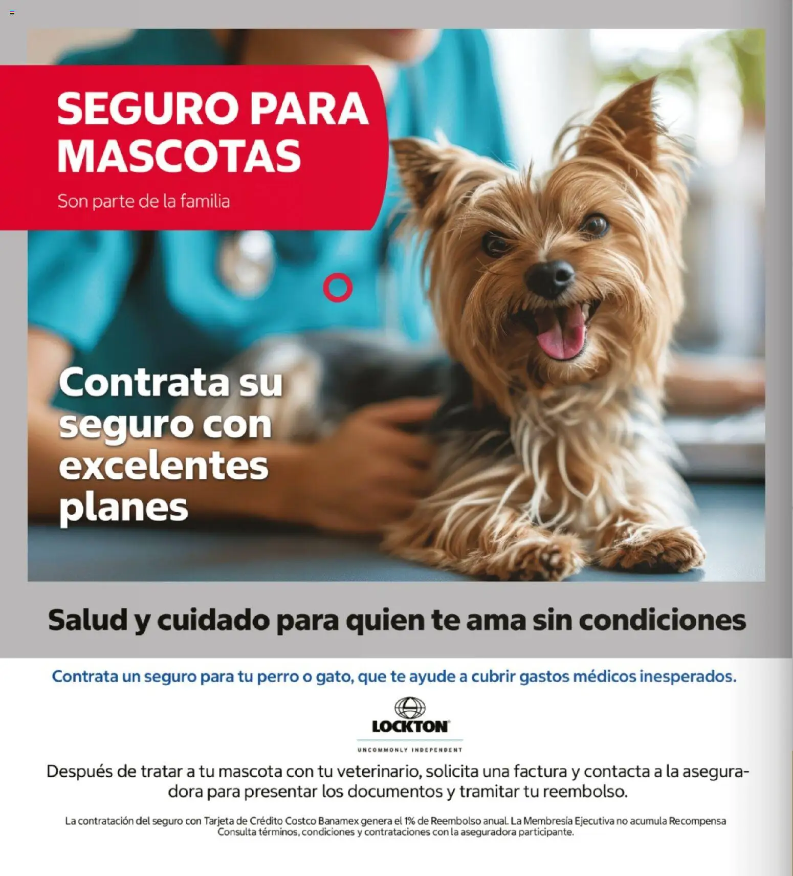 Vista previa las ofertas de la tienda Costco - Costco catálogo Teasure Hunt desde el 26/10/2026 