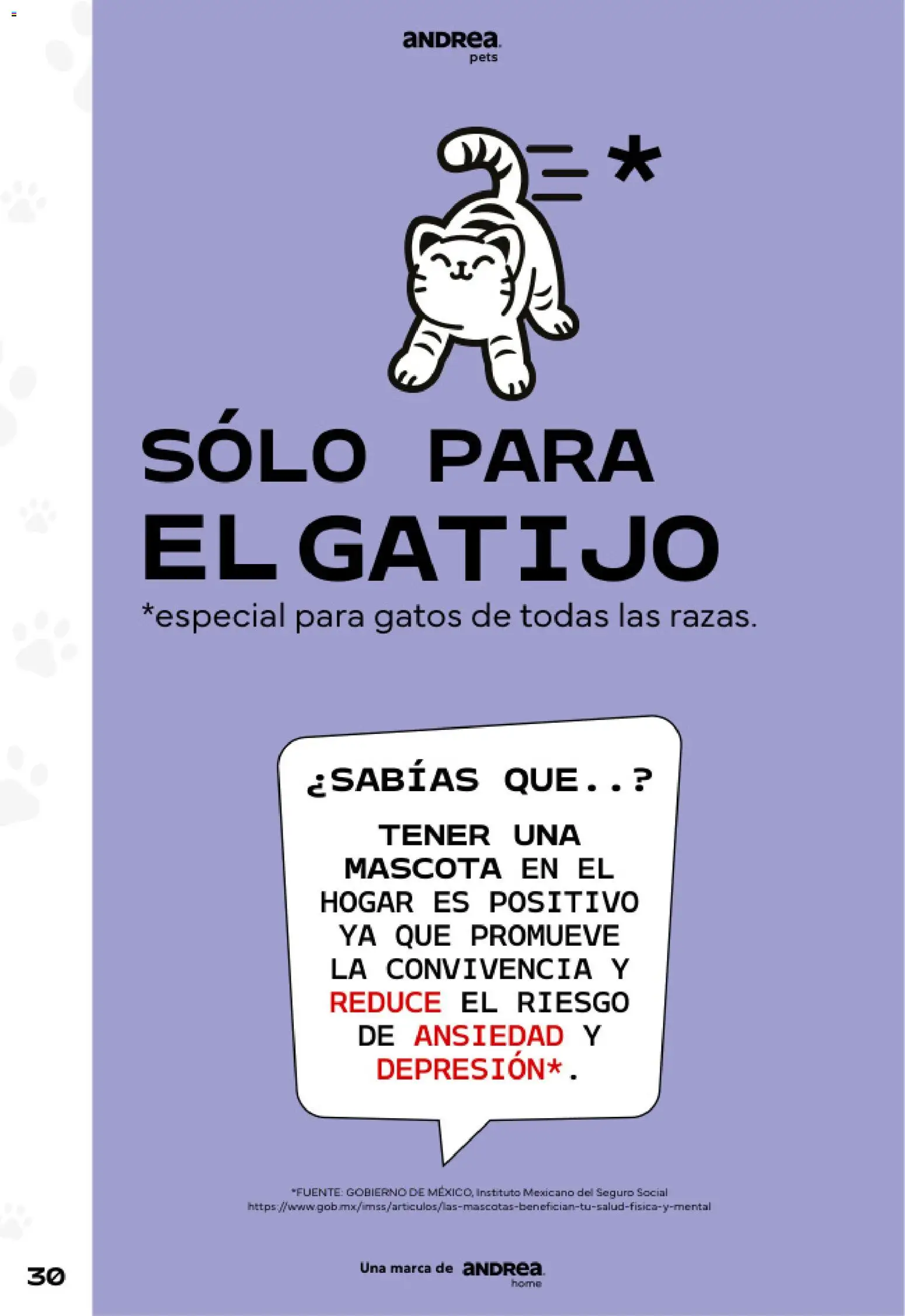 Vista previa las ofertas de la tienda Andrea - Andrea catálogo Pets desde el 24/05/2026 