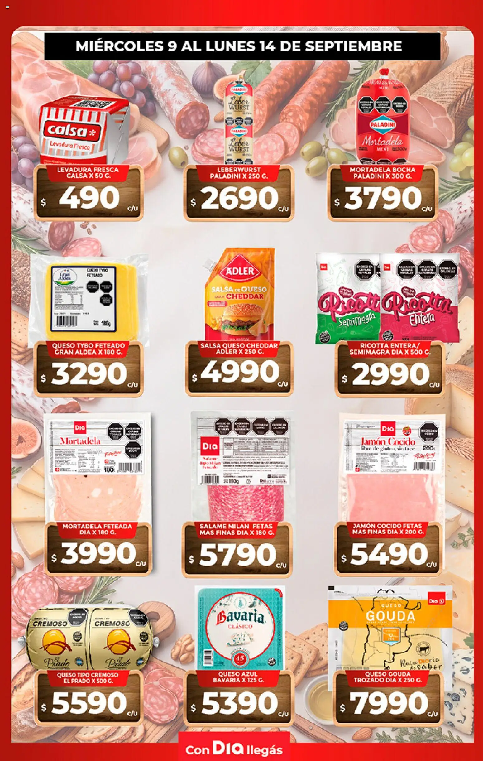 Vista previa del folleto de la tienda Dia válido desde el 08/09/2026 