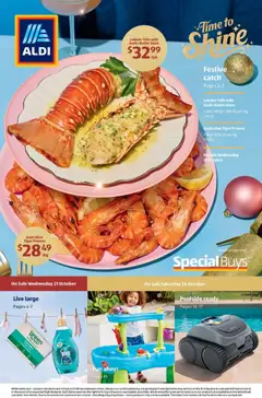 Preview of catalogue Aldi catalogue from shop Aldi valid 21/10/2026