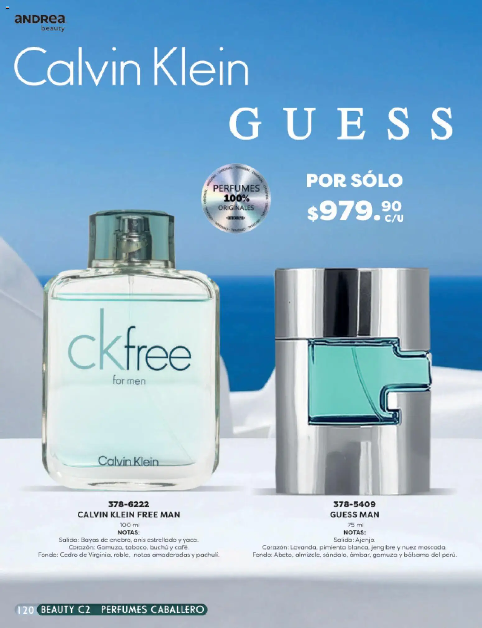 Vista previa las ofertas de la tienda Andrea - Andrea catálogo Beauty desde el 24/05/2026 