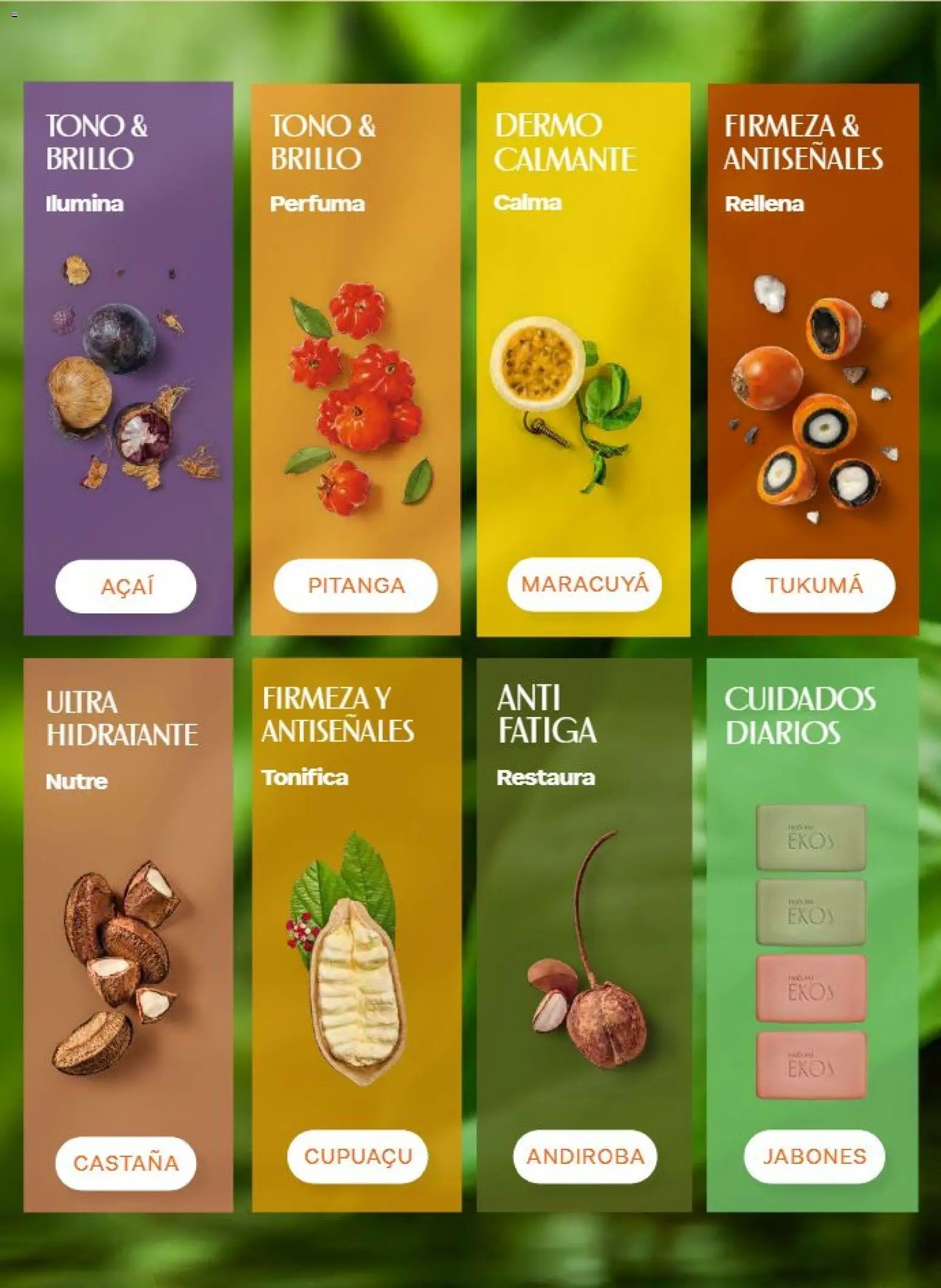 Vista previa las ofertas de la tienda Natura - Natura campaña 13 2026 desde el 21/08/2026 - Brillo