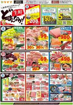 ライフの2026/09/26から2026/09/29までのチラシはここライフ 世田谷区 - 9/26号 生鮮どまんなか！