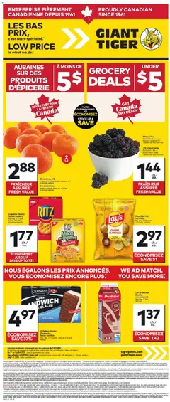 Un aperçu du dépliant Giant Tiger circulaire du magasin Giant Tiger est valide à partir 1 juill. 2026