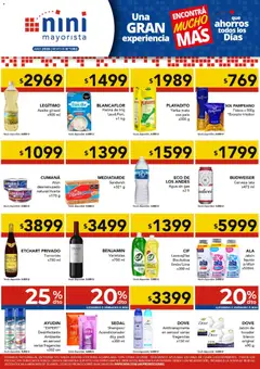 Vista previa del folleto de la tienda NINI Mayorista válido desde el 19/10/2026 