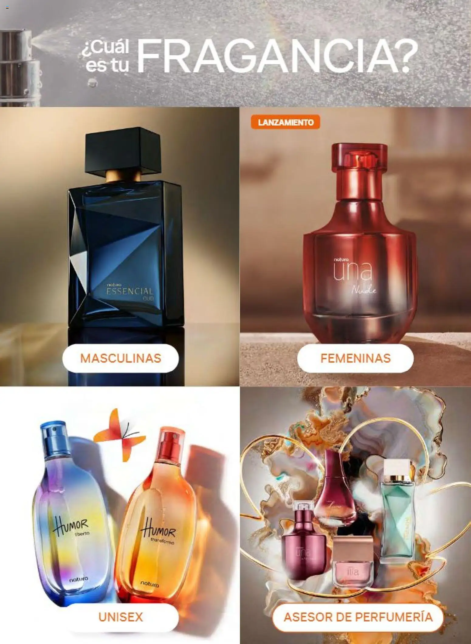 Vista previa las ofertas de la tienda Natura - Natura campaña 12 2026 desde el 31/07/2026 