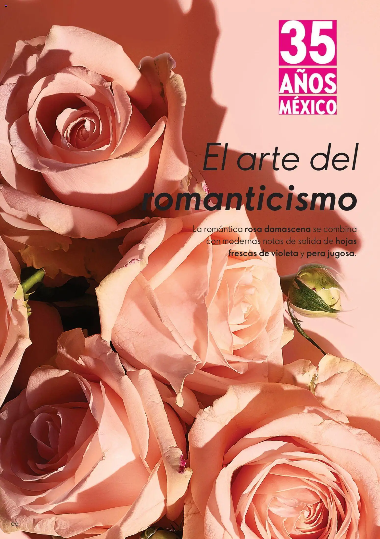 Vista previa las ofertas de la tienda Oriflame - Oriflame campaña 11 2026 desde el 01/08/2026 