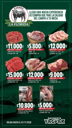 Vista previa del folleto de la tienda Yaguar válido desde el 16/10/2026 
