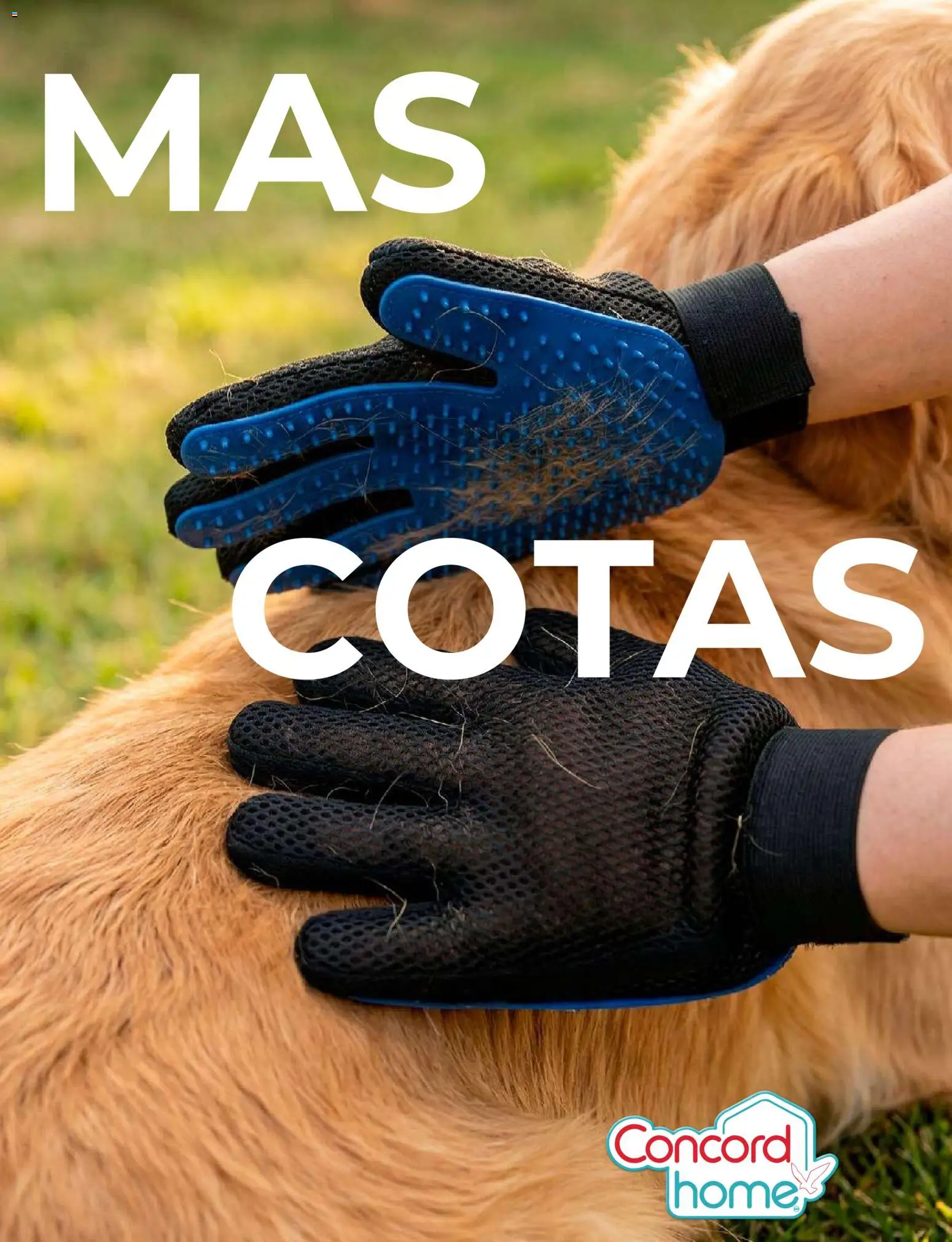 Vista previa las ofertas de la tienda Colchas Concord - Colchas Concord catálogo Concord home desde el 01/05/2026 