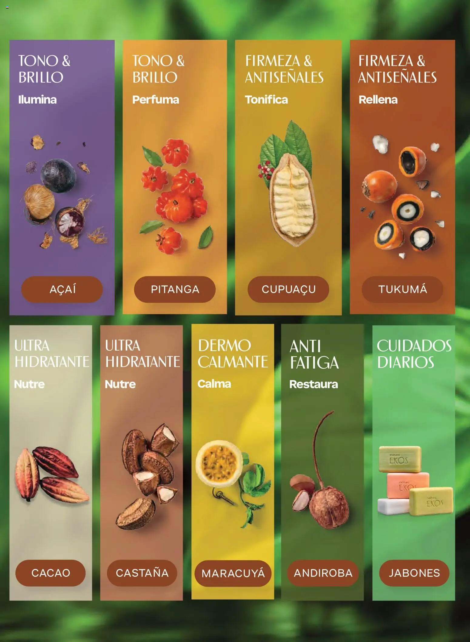 Vista previa las ofertas de la tienda Natura - Natura campaña 17 2026 desde el 07/11/2026 