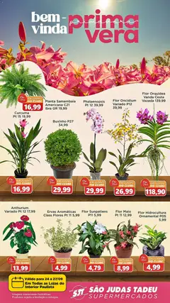 Pré-Visualização do folheto "São Judas Tadeu ofertas Primavera" da loja São Judas Tadeu válido a partir de 24/09/2026