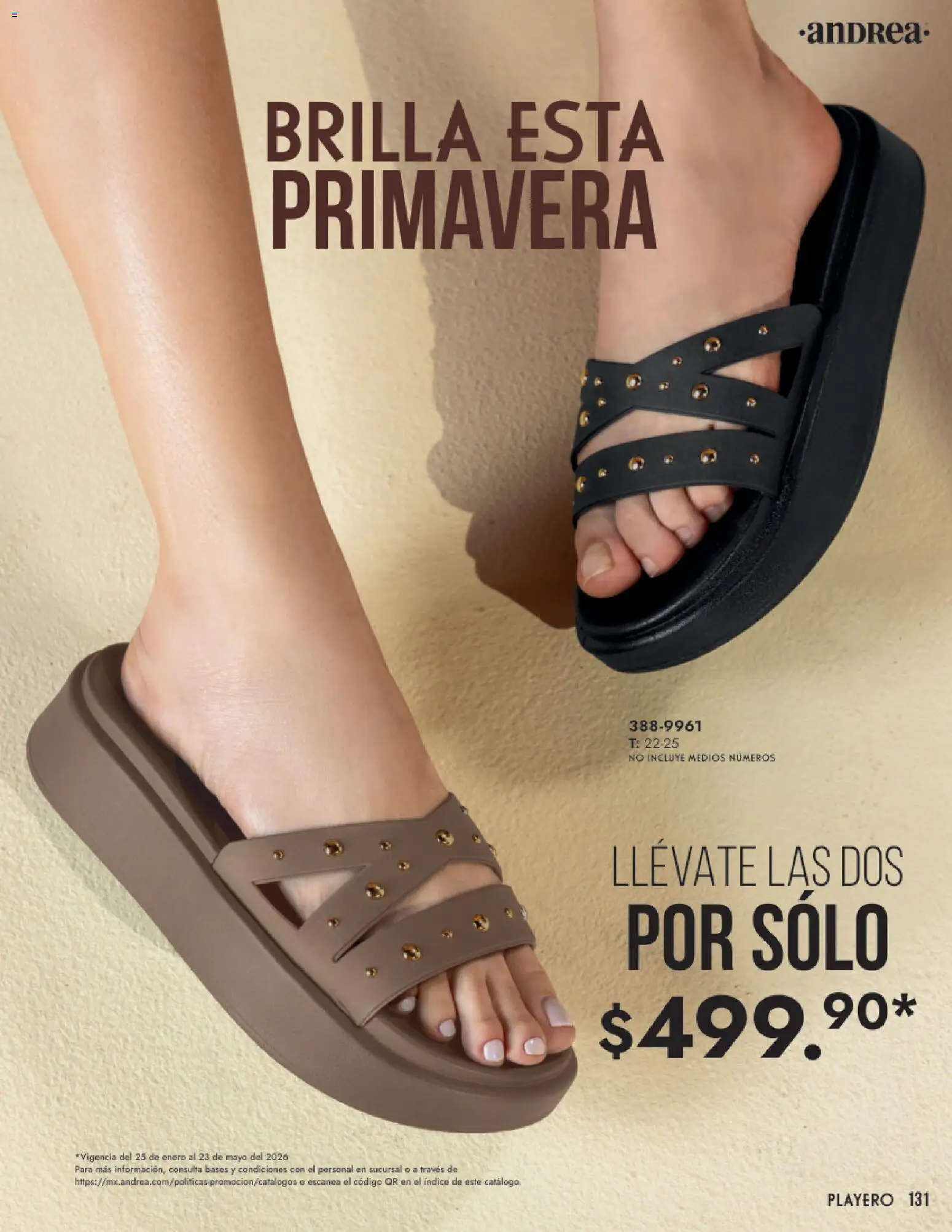 Vista previa las ofertas de la tienda Andrea - Catálogo Calzado Dama desde el 25/01/2026 
