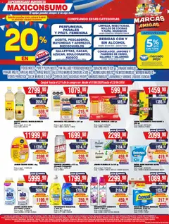 Vista previa del folleto de la tienda Maxiconsumo válido desde el 10/08/2026 