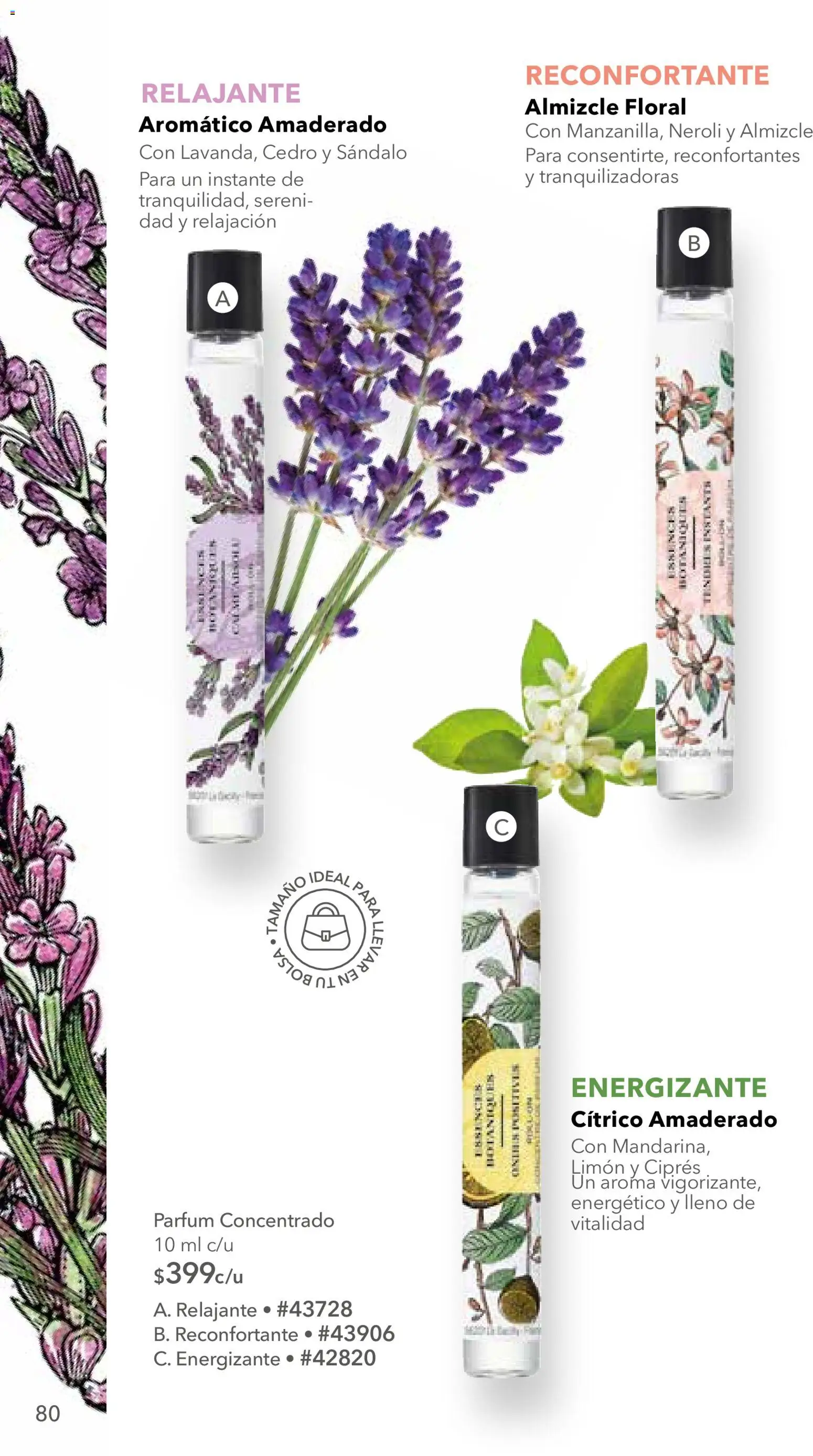 Vista previa las ofertas de la tienda Yves Rocher - Yves Rocher campaña 12 2026 desde el 25/08/2026 