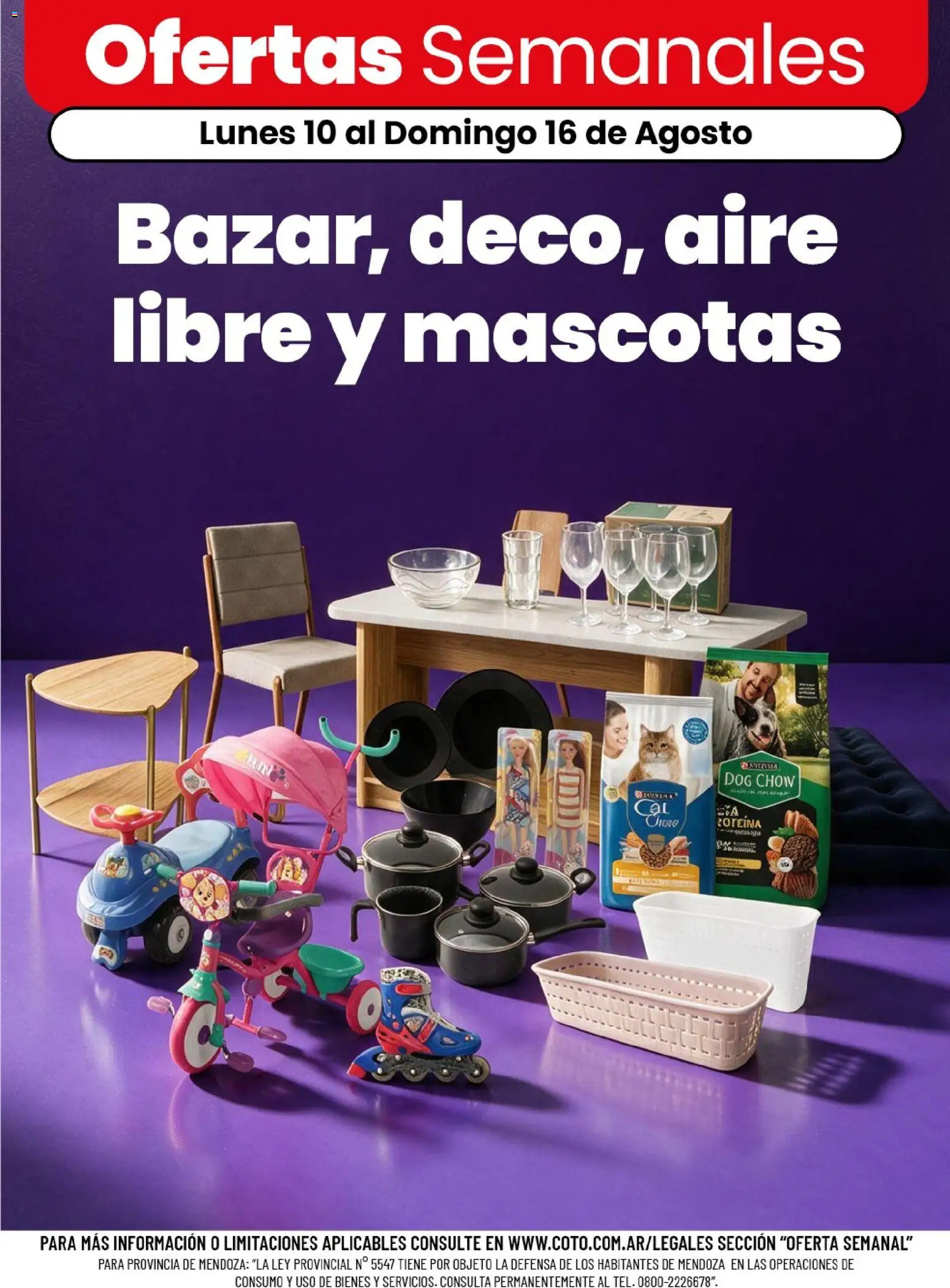 Vista previa del folleto de la tienda Coto válido desde el 10/08/2026 