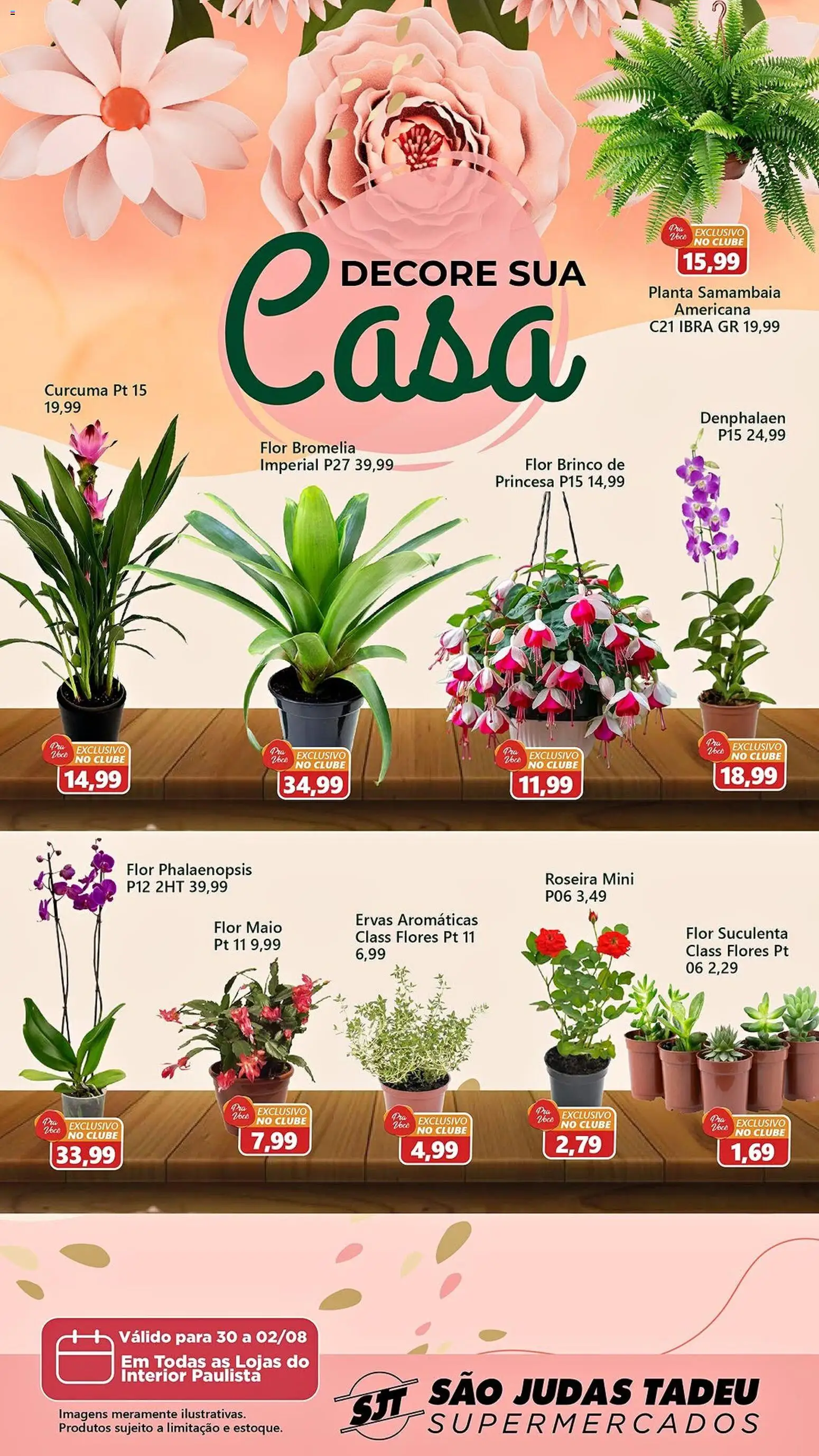 Pré-Visualização do folheto "São Judas Tadeu ofertas Decore Sua Casa" da loja São Judas Tadeu válido a partir de 30/07/2026 - Flores, Maiô, Brinco, Ervas aromáticas, Denphalaen