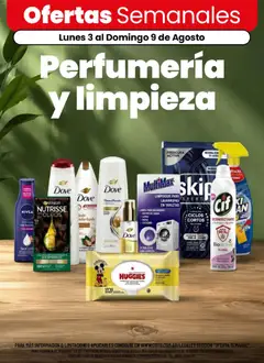 Vista previa del folleto de la tienda Coto válido desde el 03/08/2026 
