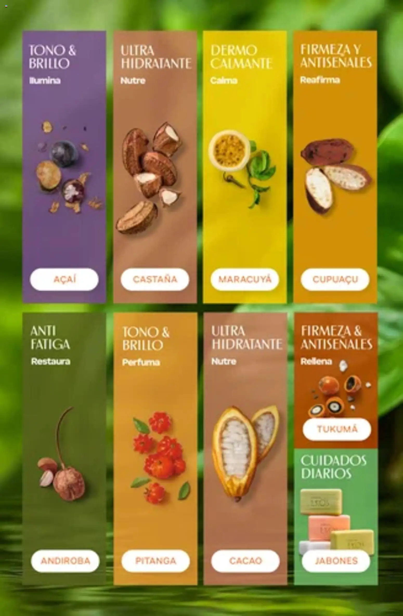 Vista previa del folleto de la tienda Natura válido desde el 01/10/2026 - Diarios, Cacao, Brillo