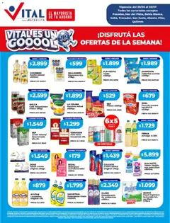 Vista previa del folleto de la tienda Vital válido desde el 29/06/2026 