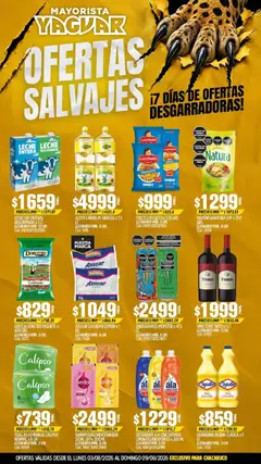 Vista previa del folleto de la tienda Yaguar válido desde el 03/08/2026 