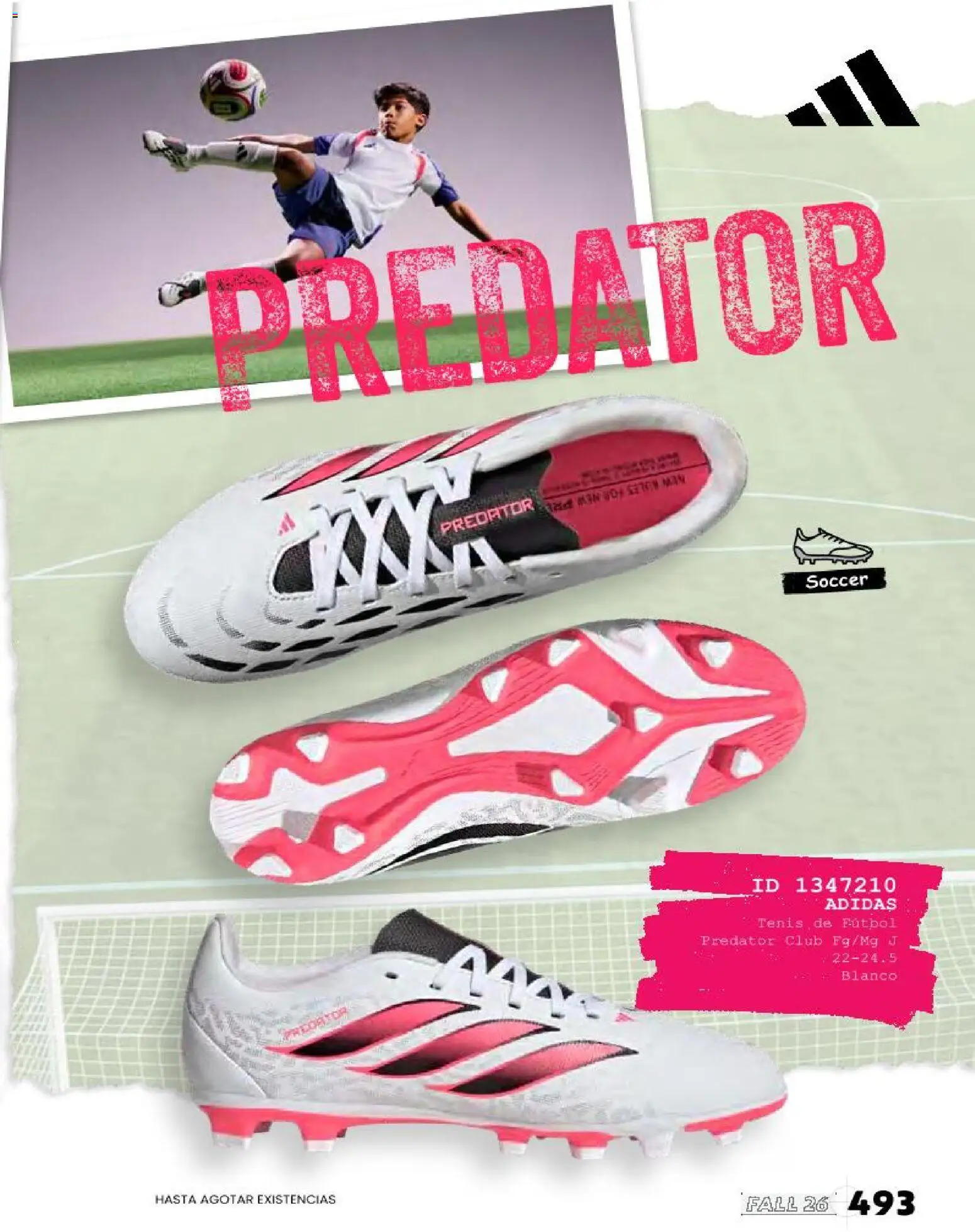 Vista previa las ofertas de la tienda Price Shoes - Price Shoes catálogo desde el 17/08/2026 - Café, Tenis, Sudadera, Algodón