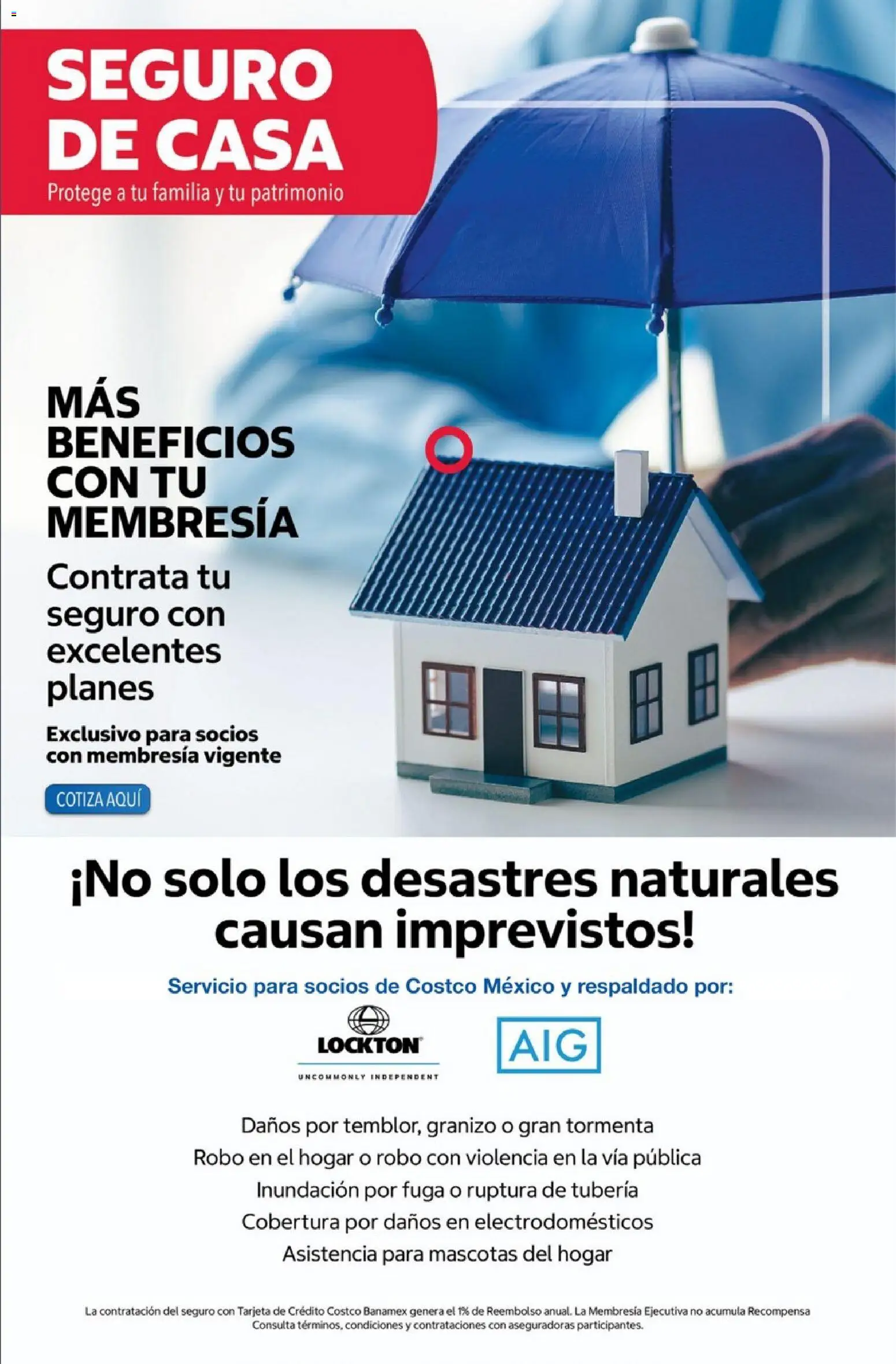 Vista previa las ofertas de la tienda Costco - Costco catálogo Agosto desde el 01/08/2026 