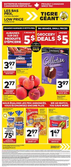 Un aperçu du dépliant Giant Tiger weekly flyer / circulaire du magasin Giant Tiger est valide à partir 17 juin 2026